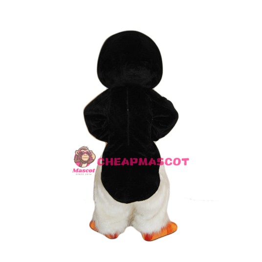 Cute Furry Penguin Mascot Costume