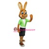 Friendly Brown Rabbit Mascot Costume