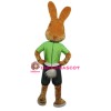 Friendly Brown Rabbit Mascot Costume