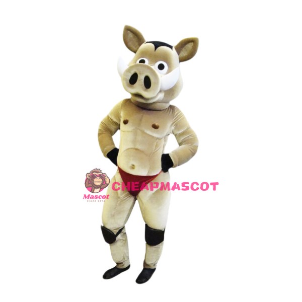 Power Hedgehog Mascot Costume