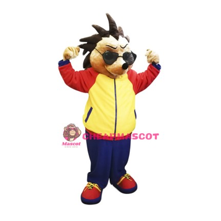 Cool Hedgehog Mascot Costume