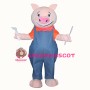 Pig Mascot Costume