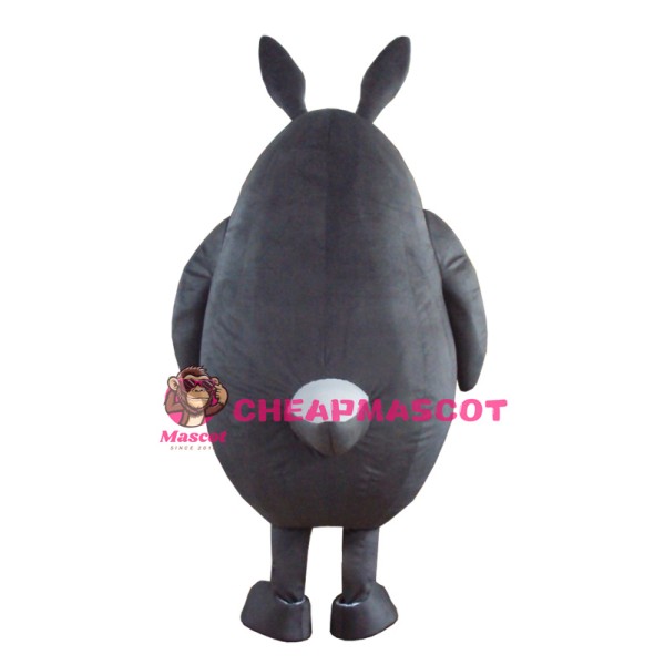 Totoro Mascot Costume
