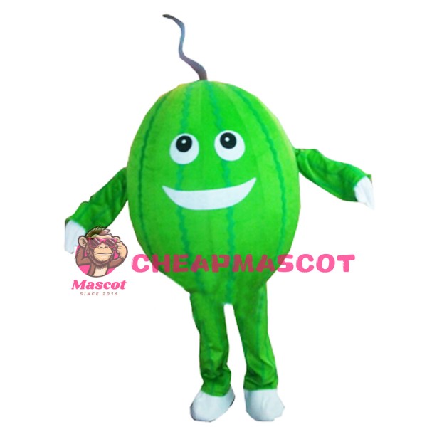 Watermelon Mascot Costume