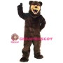 Grizzly Bear Mascot Costume Best070