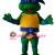 Turtle Mascot