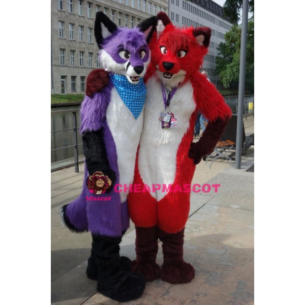 Single Friendly Wolf Mascot Costume
