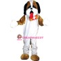 St Bernard Dog Mascot Costume