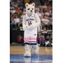The Sports Husky Dog Mascot Costume