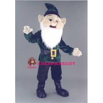 Elf Costume Mascot