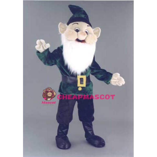 Elf Costume Mascot