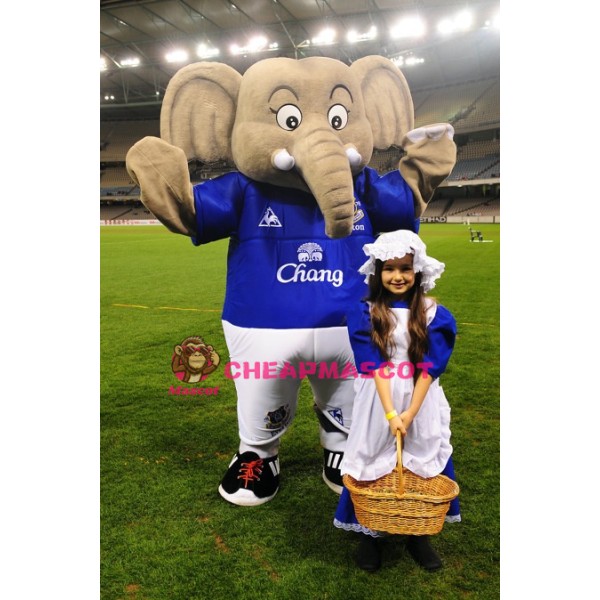 The Elephant Mascot Costumes