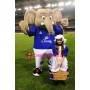 The Elephant Mascot Costumes