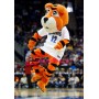 UofM University of Memphis Tigers TOM the Tiger Bengal Tiger Mascot Costume
