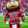 Ohio State University Brutus Buckeye Mascot Costume