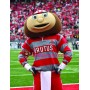 Ohio State University Brutus Buckeye Mascot Costume