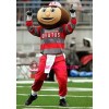 Ohio State University Brutus Buckeye Mascot Costume