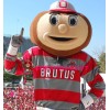 Ohio State University Brutus Buckeye Mascot Costume