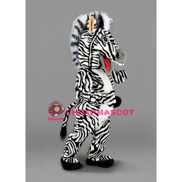 Zebra Mascot Costume