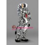 Zebra Mascot Costume