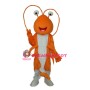 Prawn Mascot Adult Costume