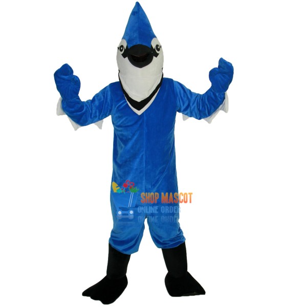 Thunderbird Mascot Costume