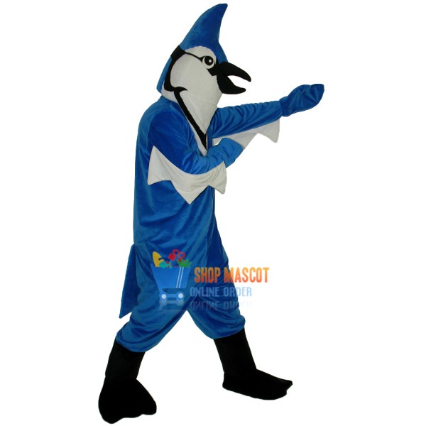 Thunderbird Mascot Costume