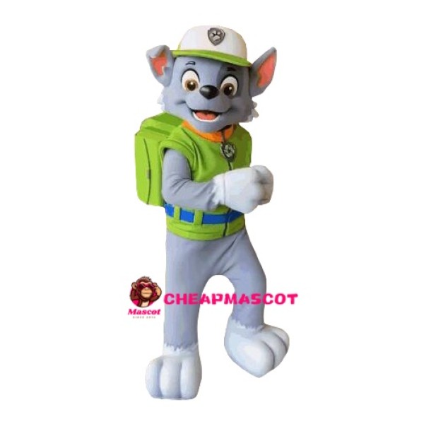 Deluxe Paw Patrol Rocky Dog Mascot Costume