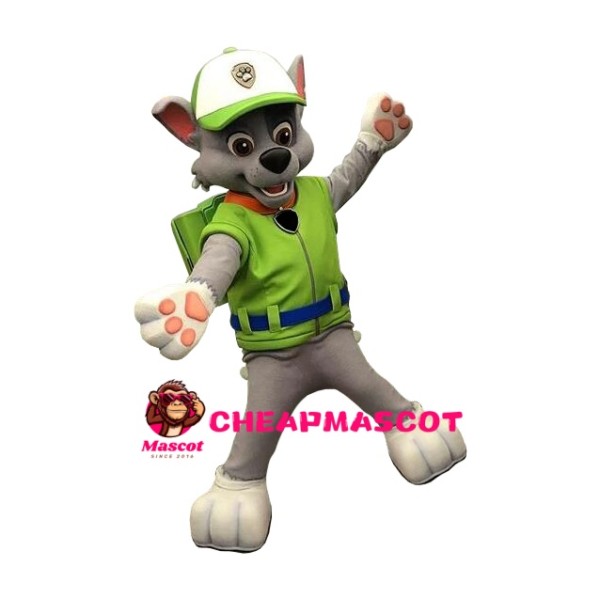 Rocky Paw Patrol Mascot Costume