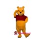 Winnie the Pooh Mascot Costume