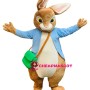 Affordable Lightweight Peter Rabbit Mascot Costume