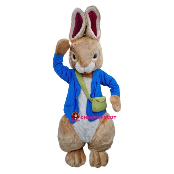 Friendly Peter Rabbit Mascot Costume