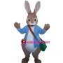 Cute Peter Rabbit Mascot Costume
