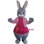 Lily Bobtail Peter Rabbit Mascot Costume
