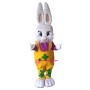 Girl Bunny Animal Mascot Costume