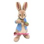 Adult Peter Rabbit Mascot Costume