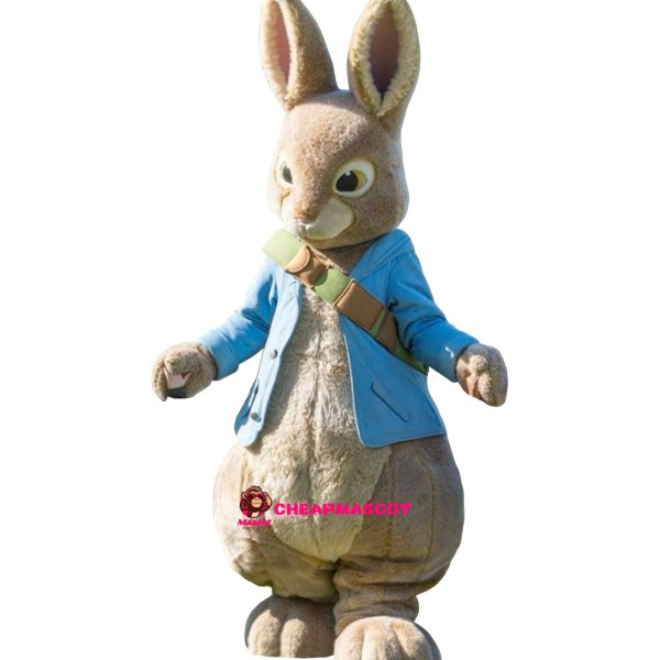 Easter Peter Rabbit Mascot Costume
