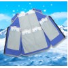Ice Pack Cooling Vest