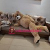 Likable Plush Teddy Bear Mascot Lightweight Costume