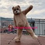 Likable Plush Teddy Bear Mascot Lightweight Costume