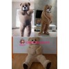 Likable Plush Teddy Bear Mascot Lightweight Costume