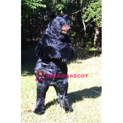 Black Bear Mascot Costume