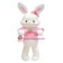 Lovely Cartoon Rabbit Mascot Costume