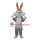 Rabbit Mascot