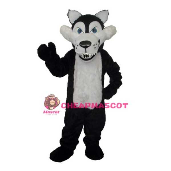 Long Wool Big Black Wolf with White Belly Mascot Adult Costume