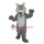 Wolf Mascot
