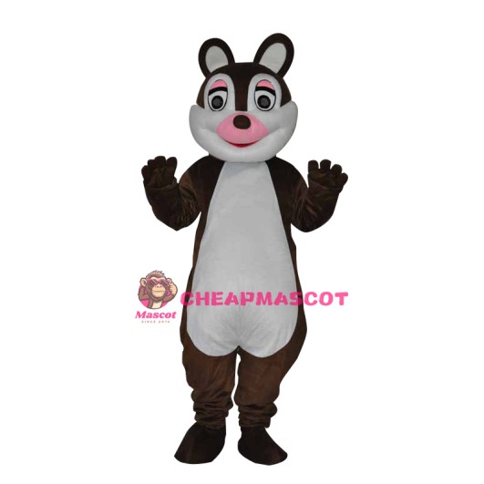 Cute little Squirrel Adult Mascot Costume