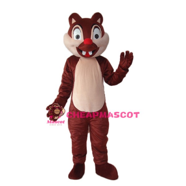 Little Squirrel Mascot Adult Costume