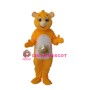 Sun Bear Mascot Adult Costume