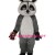 Raccoon Mascot